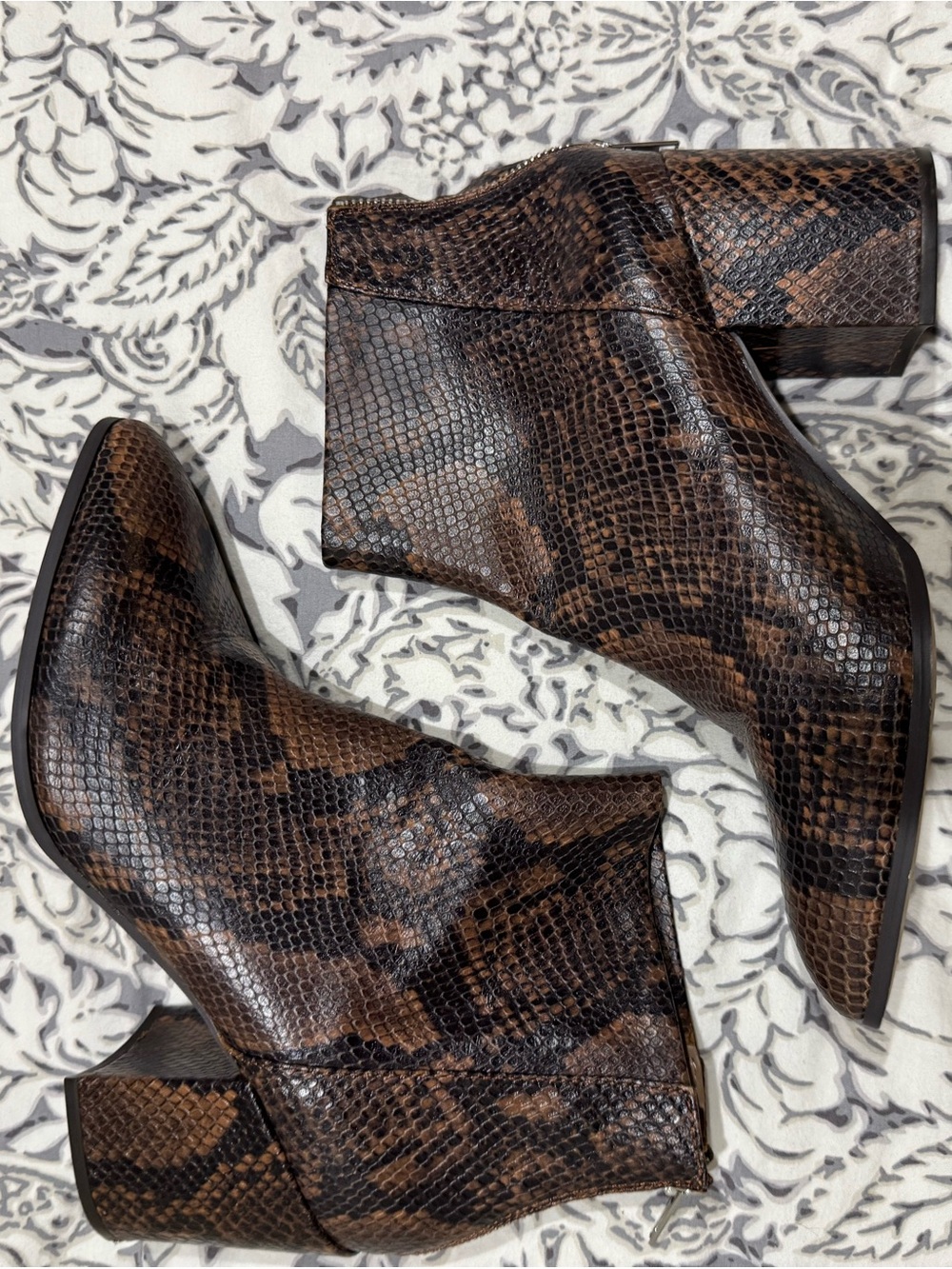 Steve Madden Brown Snake-Print Block Heel leather Ankle Booties